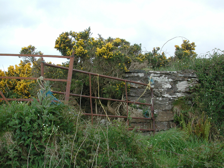 Boulteen F4.jpg 463.8K
